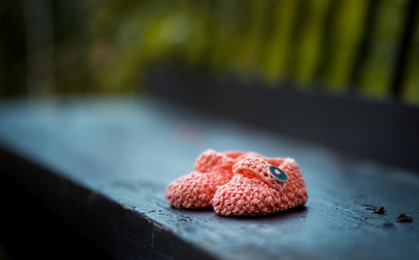 Welcome to the blog of Zoe Chapman